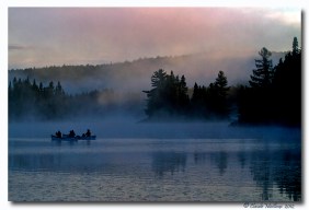 Lac du fou- Parc Mauricie - club ornithologie Trois-Rivieres