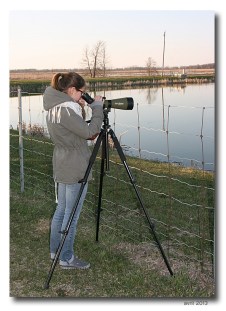 observatrice- club ornithologie Trois-Rivieres