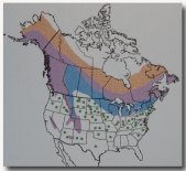 PNG - site web cartes- 004