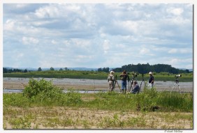 Pointe Yamachiche-club ornithologie Trois-Rivieres