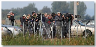 rarete - Baie-du-Febvre - 2013