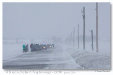 sortie harfangs-janvier 2014 copie