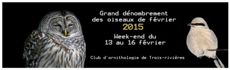 dénombrement février 2015 copie