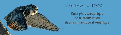 grand duc-TR-14-2-09