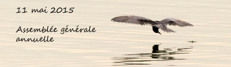 2015-assembléegénérale-Baie-du-Febvre 019