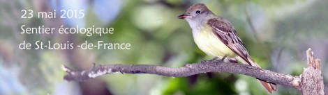 2015-tyran huppé- 2009-06-13-BF 046