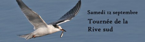 rive sud septembre 2015
