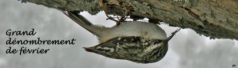 grimperau-PSF-19-3-2010 copieR