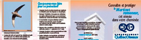 2016-martinet-ramoneur