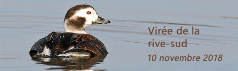 Virée sur la Rive-sud