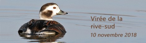 Virée sur la Rive-sud