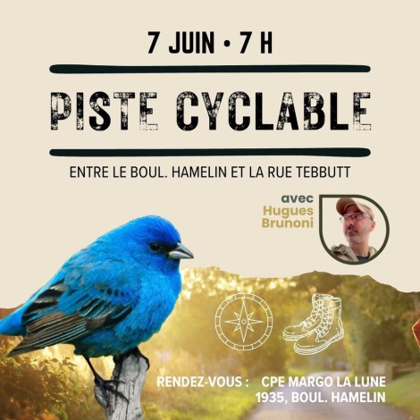 7 juin 2025- Piste cyclable